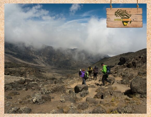 Kilimanjaro Trekking – Einmal im Leben auf das Dach Afrikas