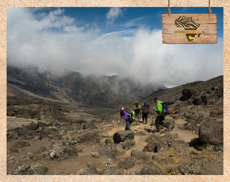 Wandergruppe beim Aufstieg auf den Kilimanjaro auf felsigem Pfad mit Trekkingstöcken und Ausrüstung – nebelverhangene Bergkulisse und eindrucksvolle Hochgebirgslandschaft in Tansania