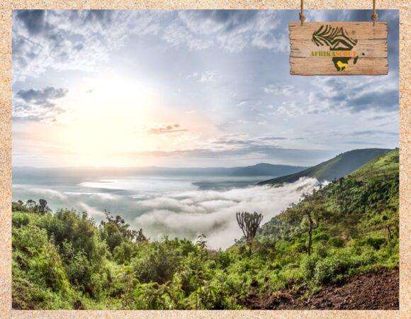 Ngorongoro-Krater – Weltweit höchste Tierdichte auf kleinem Raum