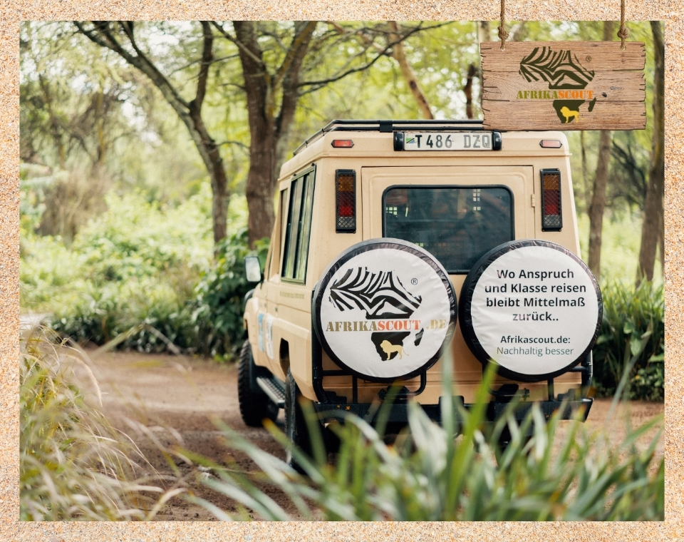 Safari-Jeep von Afrikascout auf Pirschfahrt in Tansania