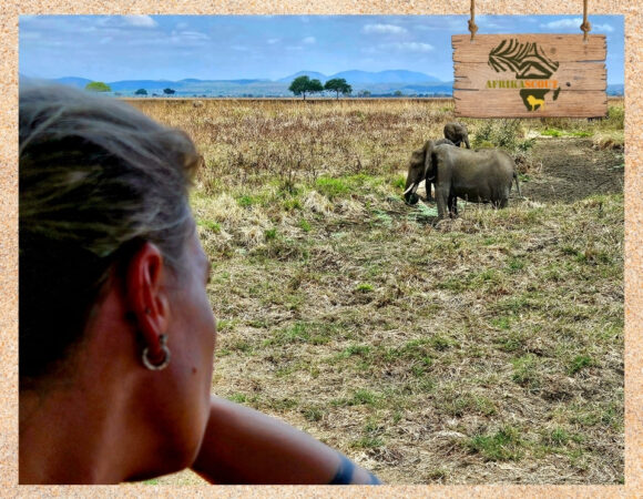 Mikumi-Nationalpark – Die „Kleine Serengeti“ Tansanias erleben