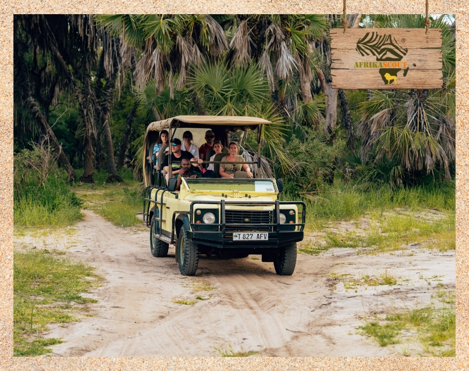 Safari-Jeep mit einer Gruppe Reisender auf sandigem Weg, umgeben von dichter Palmenvegetation im Selous Game Reserve (heute Nyerere-Nationalpark) – dem größten Wildschutzgebiet Afrikas in Tansania.